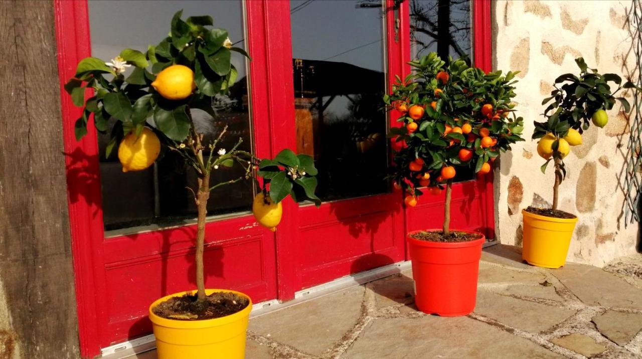 La Grange Ancienne Bed & Breakfast Montrollet Dış mekan fotoğraf
